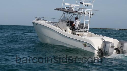 World Cat 266 SF ficha tecnica 